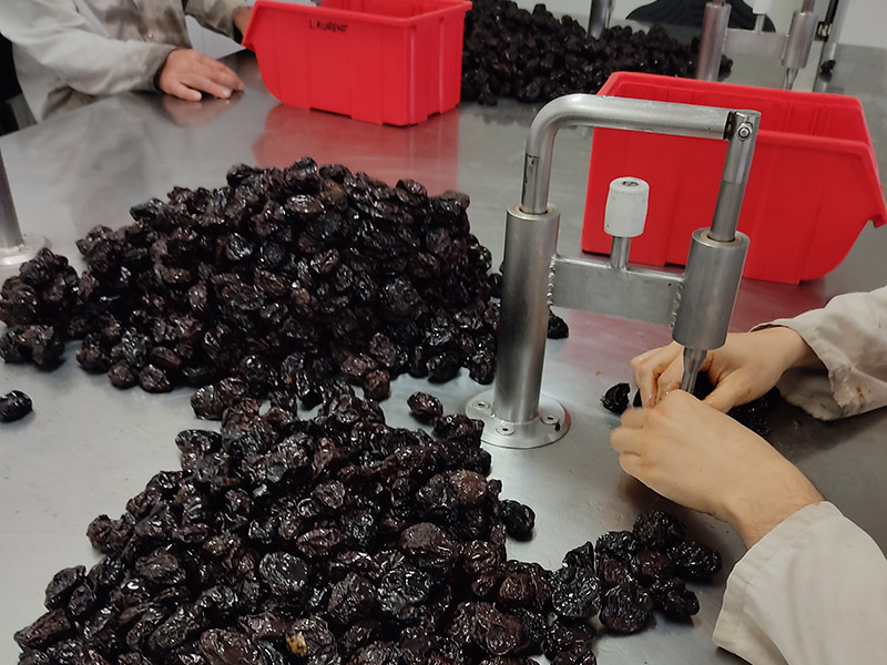 Entreprise de dnoyautage de pruneaux Marmande